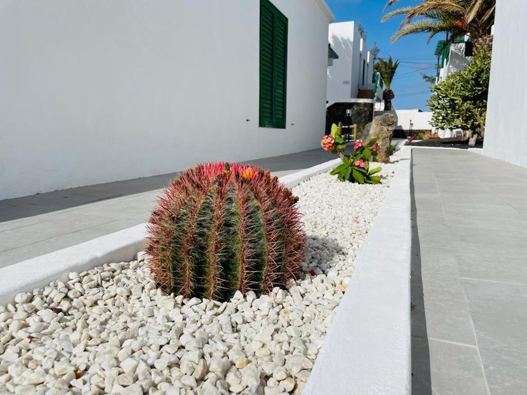 Casa Adelfa Apartment Puerto del Carmen  Luaran gambar