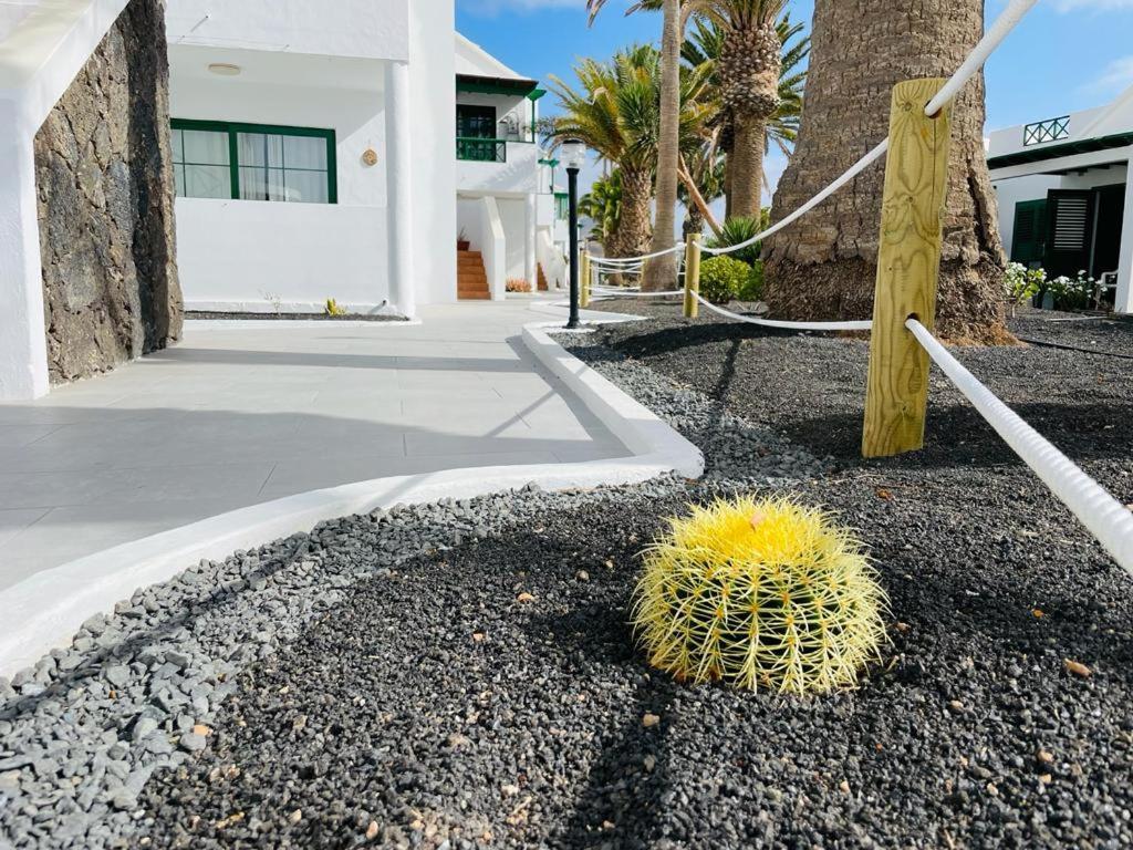 Casa Adelfa Apartment Puerto del Carmen  Luaran gambar